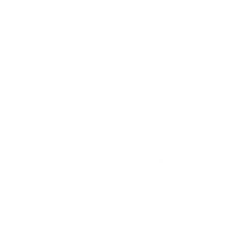 Grubs Fly Company